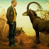 Milow - List pictures