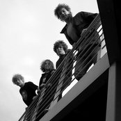 Backlash - List pictures