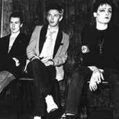 Siouxie - List pictures