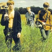 The Coral - List pictures