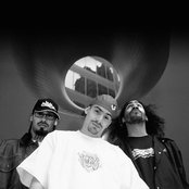 Arsonists - List pictures