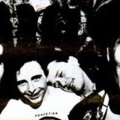 The Cows - List pictures