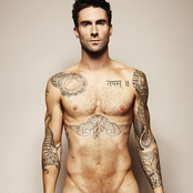 Adam Levine - List pictures