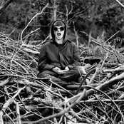 Tree - List pictures