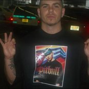 Pitbull - List pictures