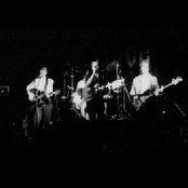 The Woodentops - List pictures