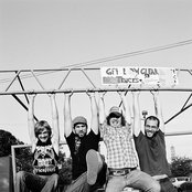 Pelican - List pictures