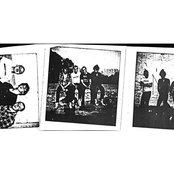 The D.o.c. - List pictures