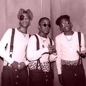 Immature - List pictures