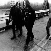 Posies - List pictures