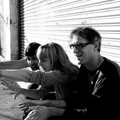 The Muffs - List pictures