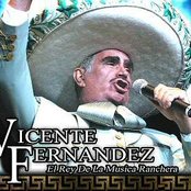 Vicente Fernandez - List pictures