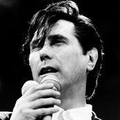 Bryan Ferry - List pictures
