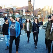 King Gizzard And The Lizard Wizard - List pictures