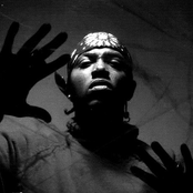 Mystikal - List pictures