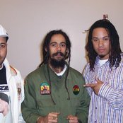 Lee Majors - List pictures