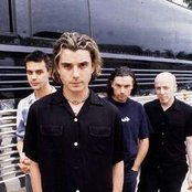 Bush - List pictures