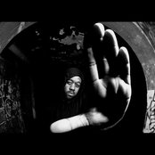 Halloween - List pictures