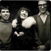 The Muffs - List pictures