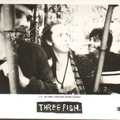 Three Fish - List pictures