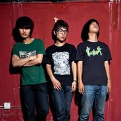 Birdstriking - List pictures