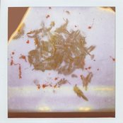 Memoryhouse - List pictures