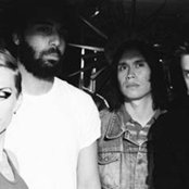 Trailer Trash Tracys - List pictures