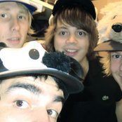 Goose - List pictures