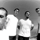 Taproot - List pictures