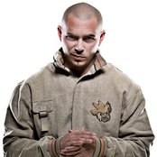 Pitbull - List pictures
