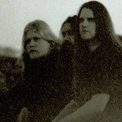 Warhorse - List pictures