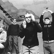 Alien Ant Farm - List pictures