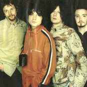 Seahorses - List pictures