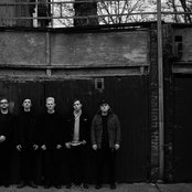 Rarity - List pictures