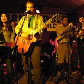 Woodpigeon - List pictures