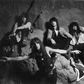 Dogs Damour - List pictures