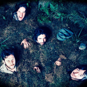 Patrick Watson - List pictures