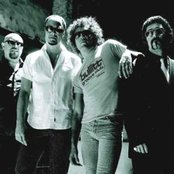 M-clan - List pictures