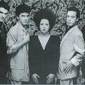 Matia Bazar - List pictures