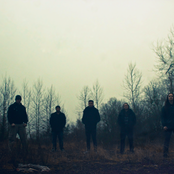 Fallujah - List pictures