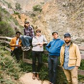 Woods - List pictures