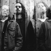 Peach - List pictures