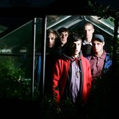 Maccabees - List pictures