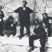 Young Lo - List pictures