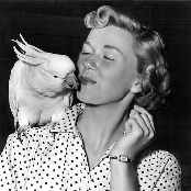 Doris Day - List pictures