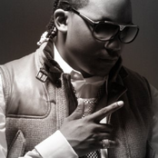 Harvey Stripes - List pictures