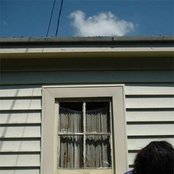 Lightspeed Champion - List pictures