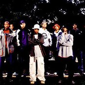 Hieroglyphics - List pictures