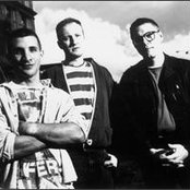 Sugar - List pictures