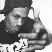 Redman - List pictures